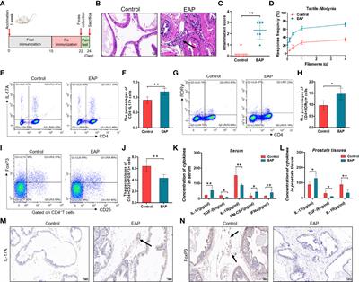 Gut Microflora Modulates Th17/Treg Cell Differentiation in Experimental Autoimmune Prostatitis via the Short-Chain Fatty Acid Propionate